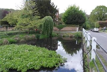 Hedgerley Parish Council Logo